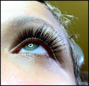 Lady D lashes work